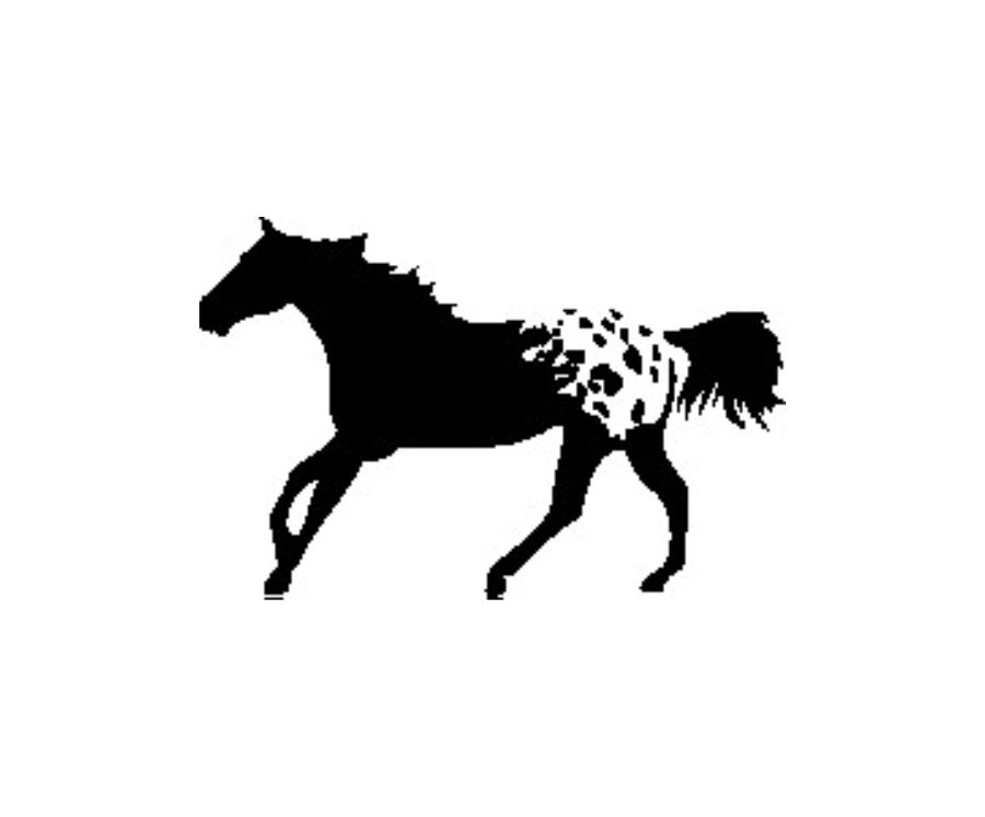 Appaloosa Horse Vinyl Decal Sticker