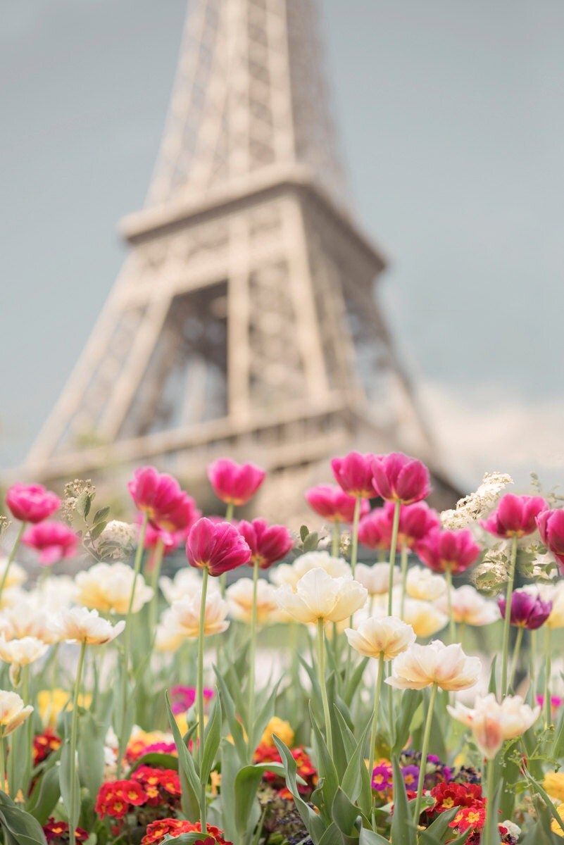 Paris Photography Tulips at the Eiffel Tower Paris in