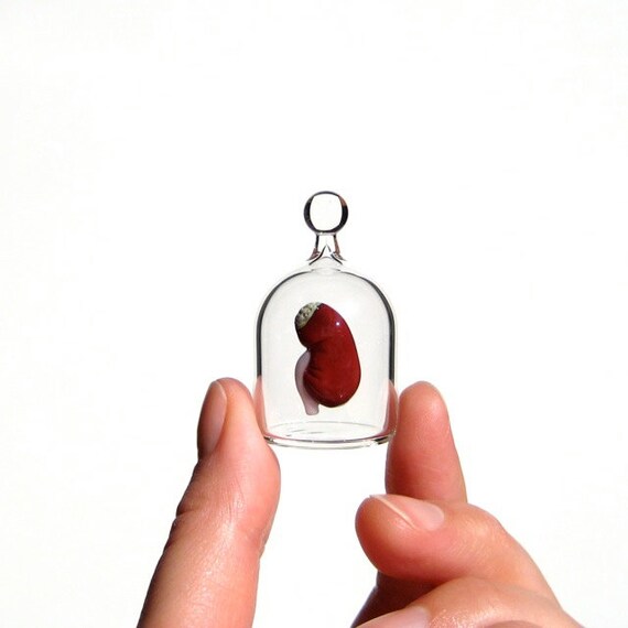 https://www.etsy.com/listing/166727693/anatomical-kidney-in-a-jar-hand-blown?ref=shop_home_active_24