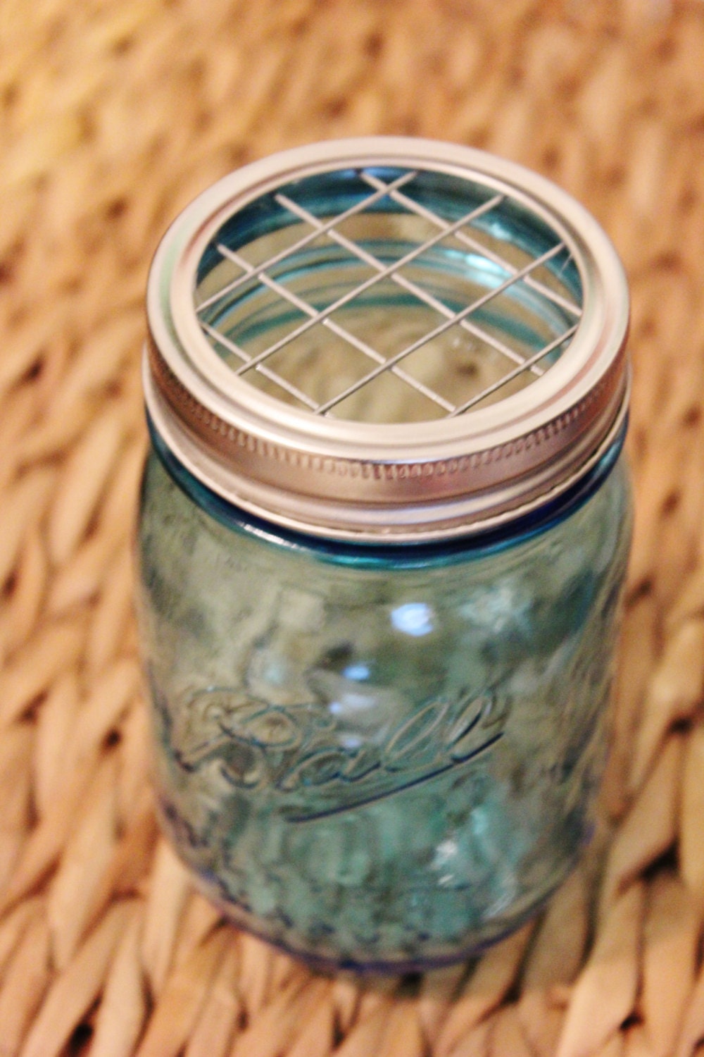 6 FLOWER FROG LIDS Mason Jar Lid Regular Mouth Floral Supplies by