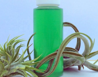 Fertilizer for your Air Plants