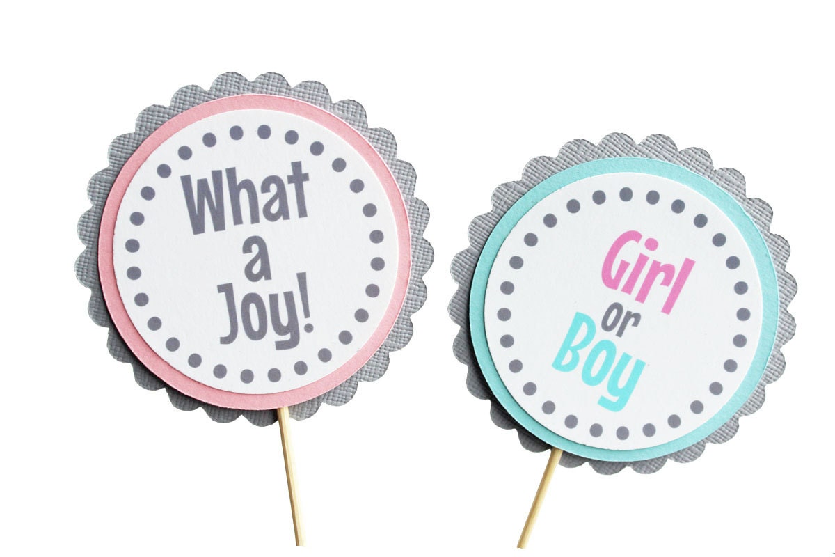 Baby Shower / Gender Reveal Cupcake Toppers Gray PinkBlue