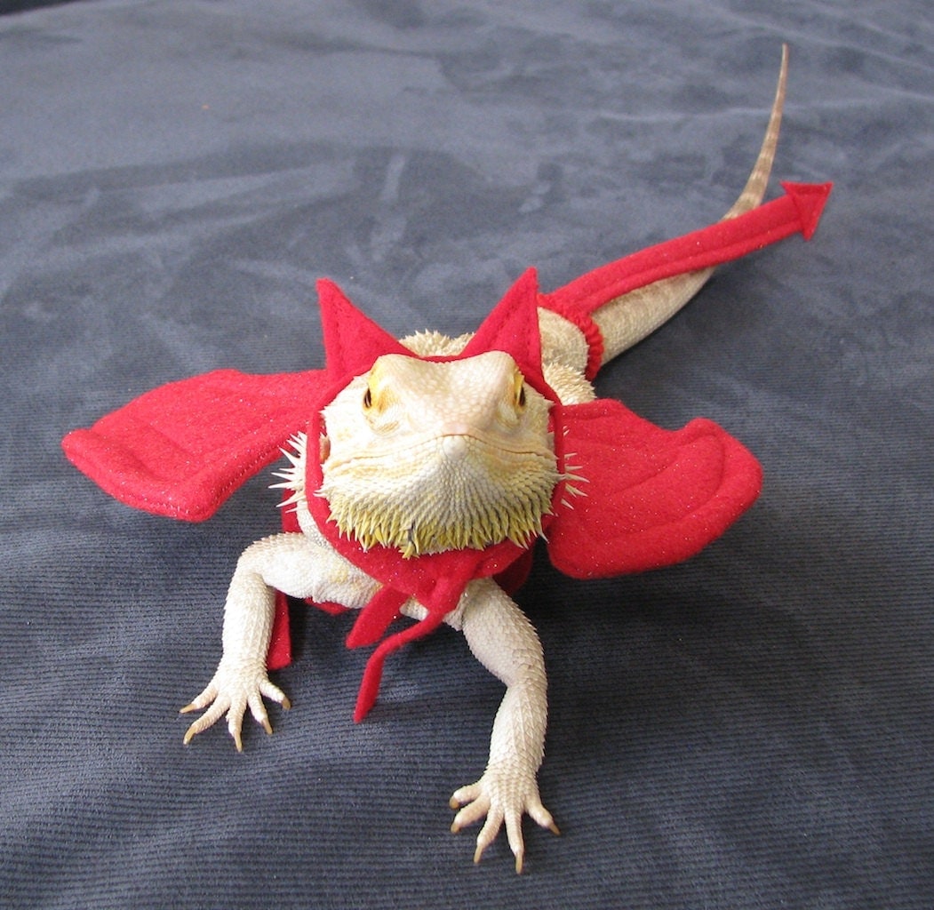 Devil Costume for Bearded Dragons One size fits most