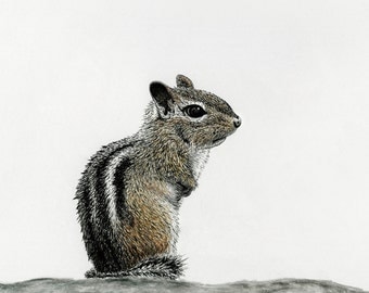 Popular items for chipmunk drawing on Etsy