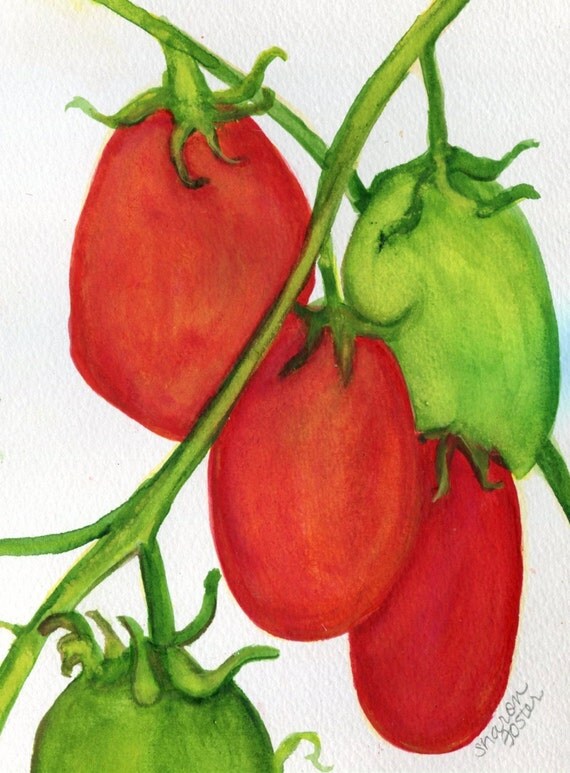 Tomatoes Watercolors Paintings Original Red And Green Roma