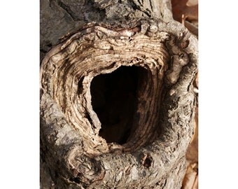 Popular items for letters in nature on Etsy