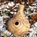 Song of the Soil. Udu drum