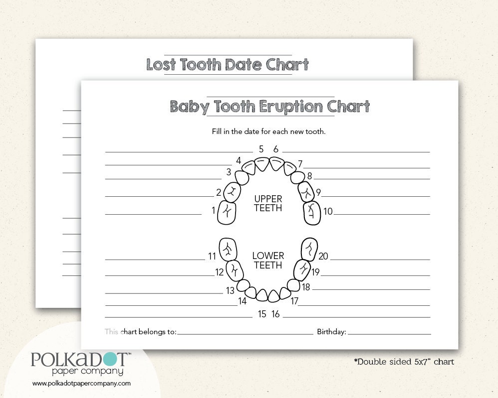 Closeout Baby Tooth Record Keepsake Chart