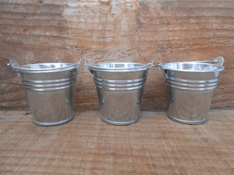 10 Mini Silver Tin Metal Pails Favor Size DIY by SucculentsGalore