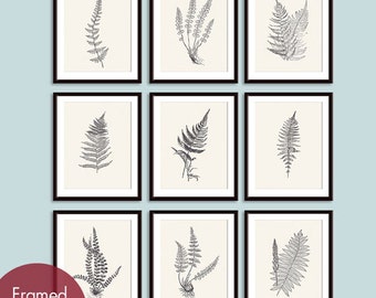 Ferns Garden Botanical Prints (Series E) Set of 9 - Art Prints (Featured in Charcoal and Cream)