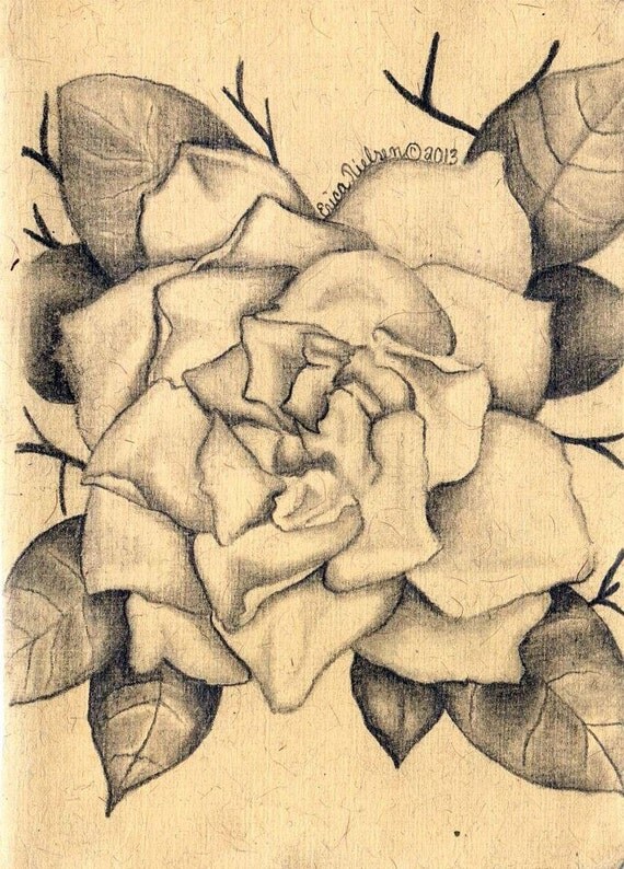 Items similar to ORIGINAL 4.5" x 7" drawing of a Gardenia on Etsy