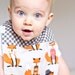 Fox Baby Bibs - What does the Fox Say Baby Bib / Teething Bibs / Etsy Baby Bibs / Custom Baby Gifts