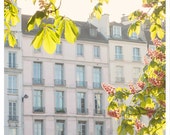 April in Paris - chestnuts in blossom on the river pastel buildings pink French wall decor 8x8, 12x12, 20x20 Original Fine Art Photography