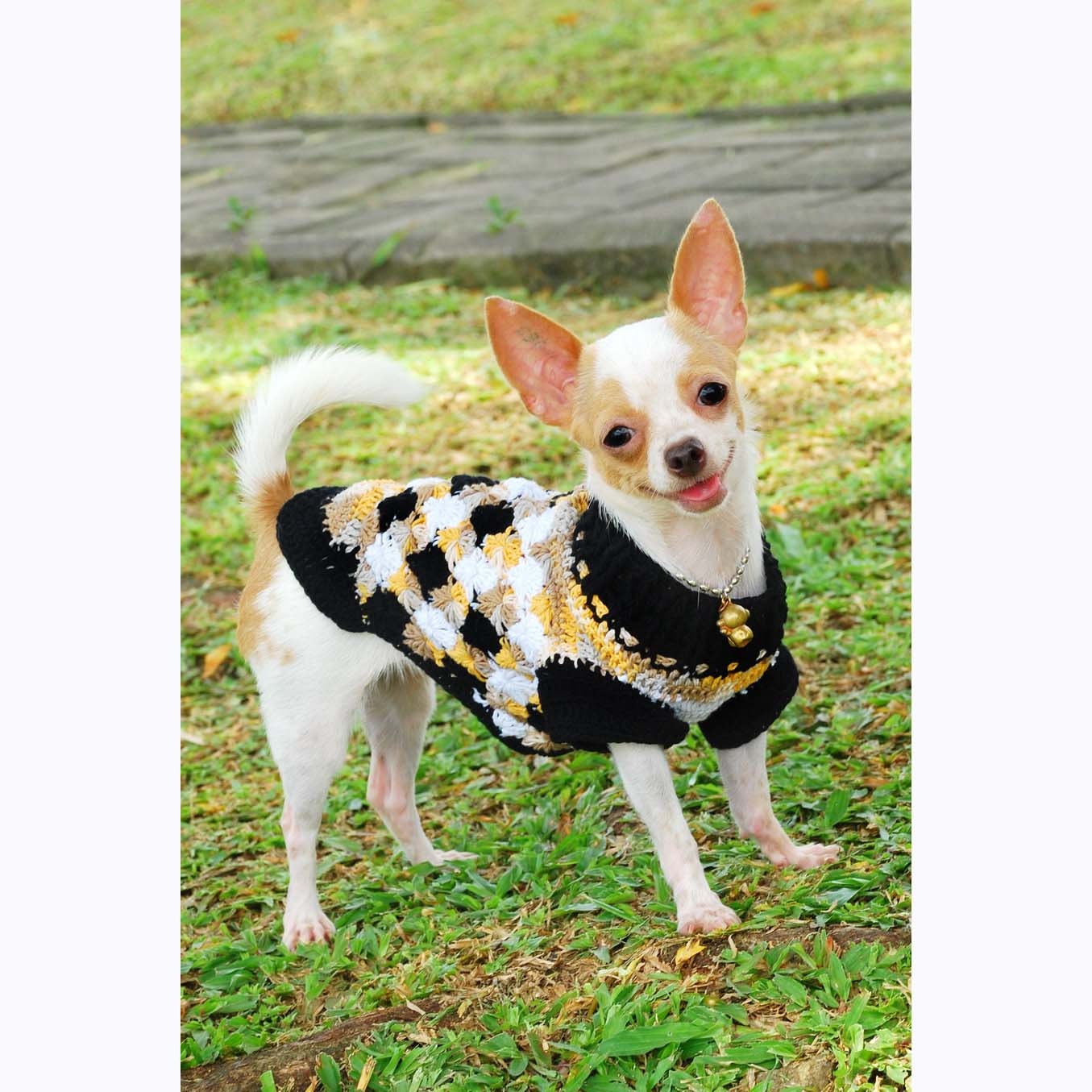 Argyle Dog Clothes Cute Cotton Chihuahua Clothes by myknitt