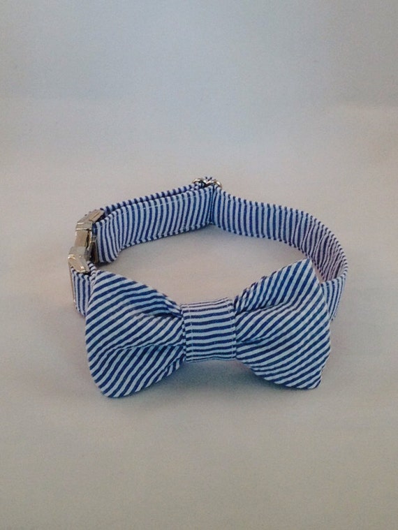 Preppy Navy Blue Seersucker Bow Tie Dog Collar by thesouthernpup