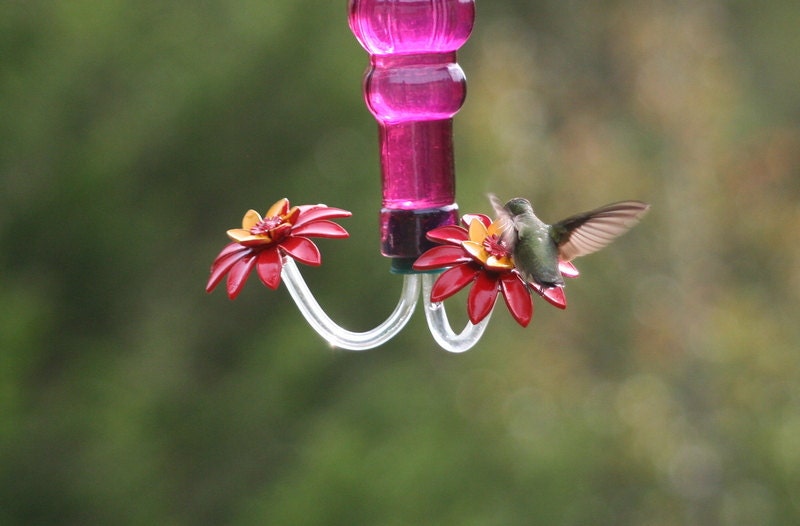 Hummingbird feeder tubesset of 2 BD1