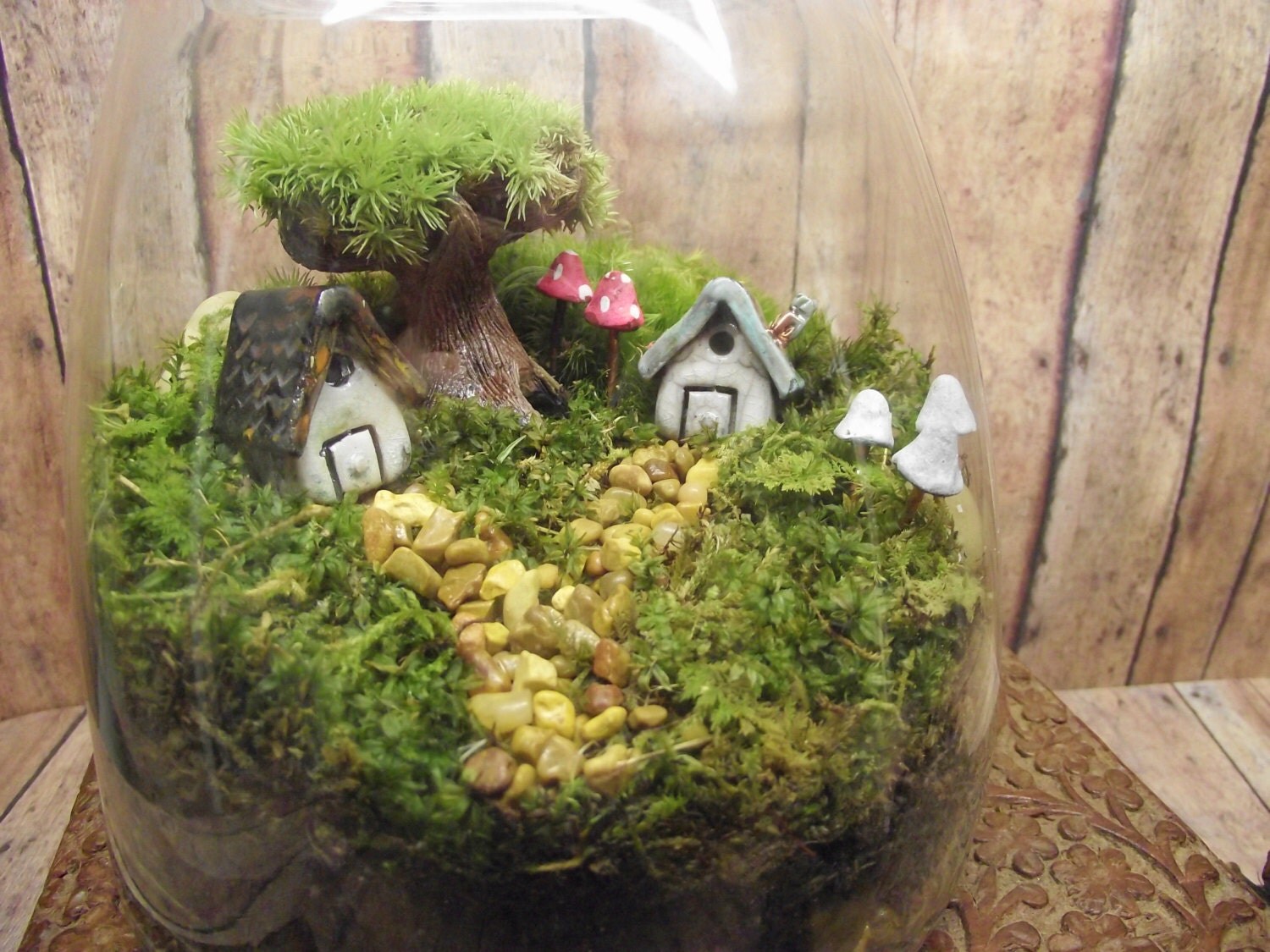 6. Miniature Landscapes: Moss Plants To Elevate Your Living Spaces