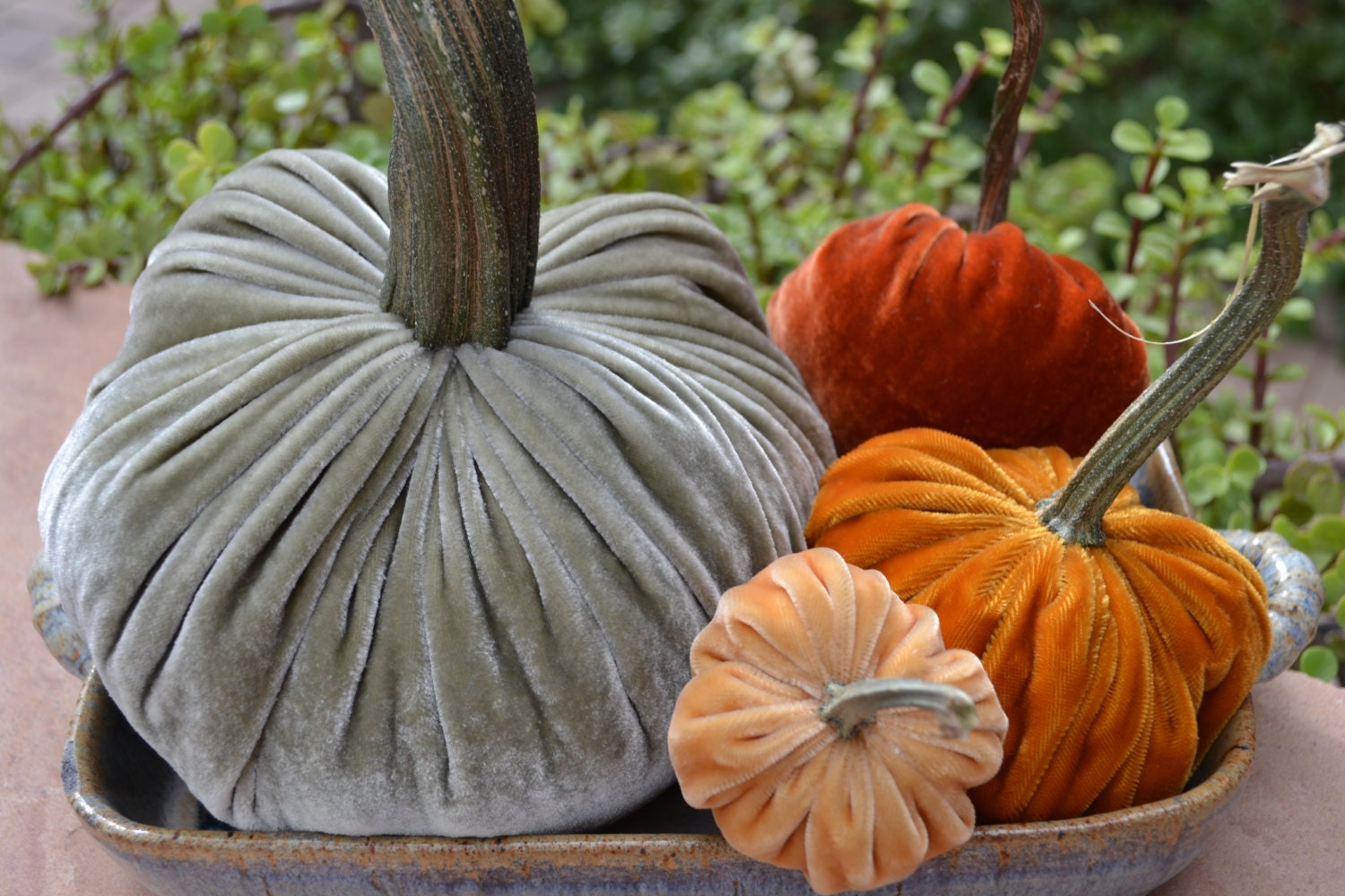 plush pumpkins