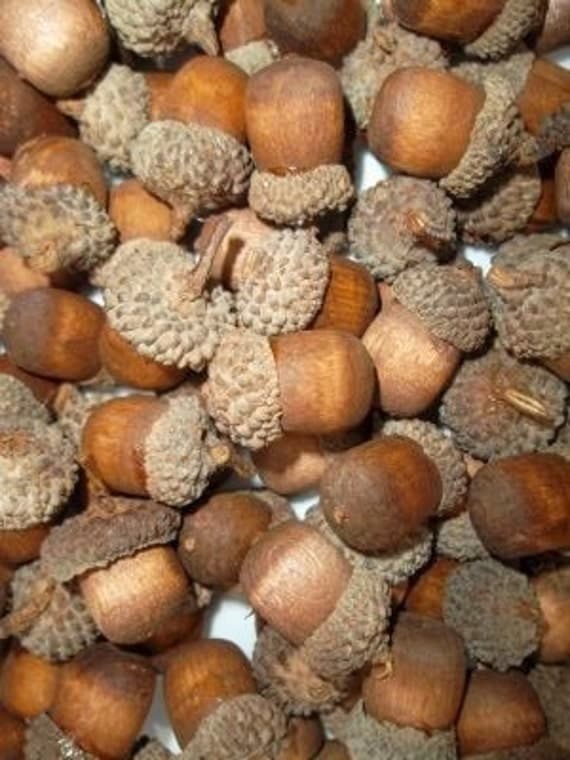 Wooden Acorns Look Real Great for fall decorations crafts