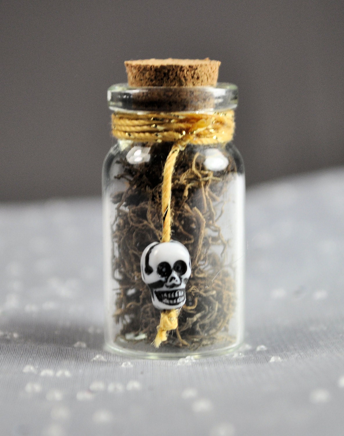 Dried Cat's Claw Root From New Orleans in Decorative by PZBOTANICA