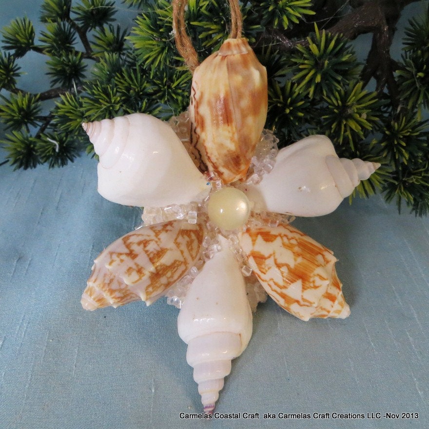 Pin By Connie J Miller On Christmas DIY Seashell Christmas Ornaments   Il Fullxfull.538997251 Gedi 