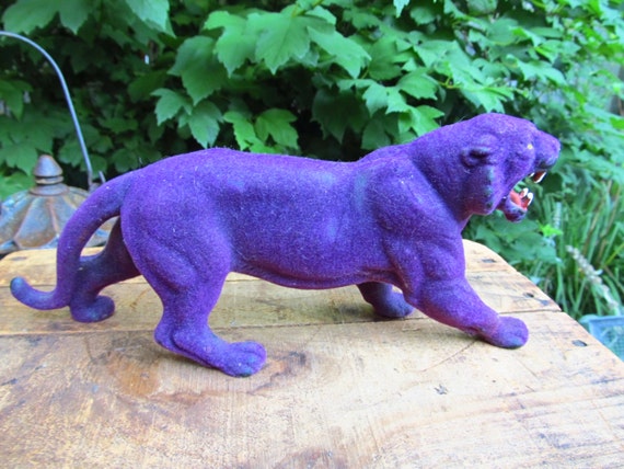 skeletor's purple cat