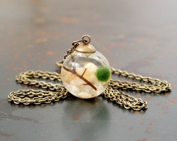 live marimo moss ball terrarium necklace live marimo moss ball terrarium necklace