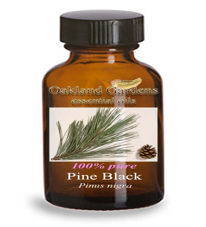 PINE Essential Oil 100 PURE Therapeutic Grade Essential Oil