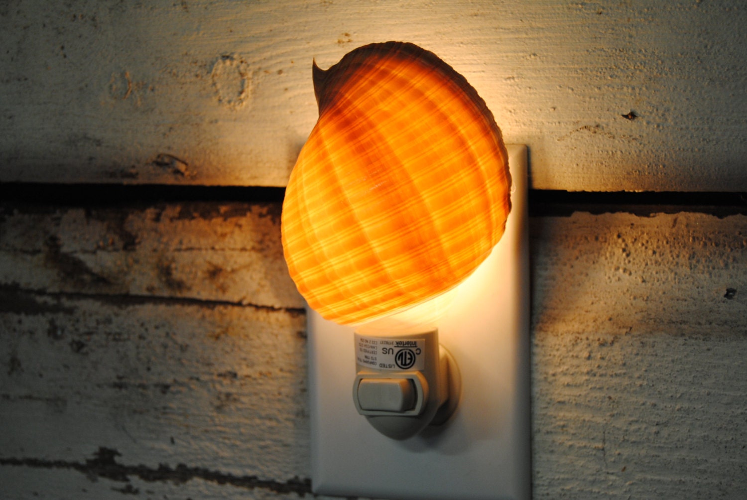 Beach decor Tonna Seashell Night Light Lighting Home
