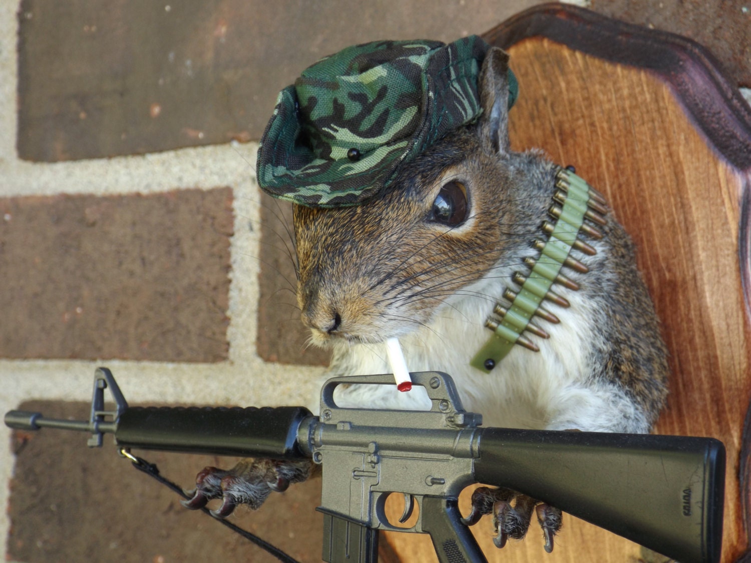 squirrel mount squirrel chest mount taxidermy log cabin lake