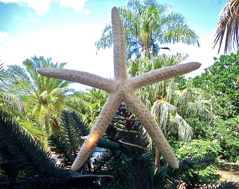 Starfish Christmas Tree Topper. Starfish have a light sparkle dusting. Looks perfect with all of our beach ornaments!