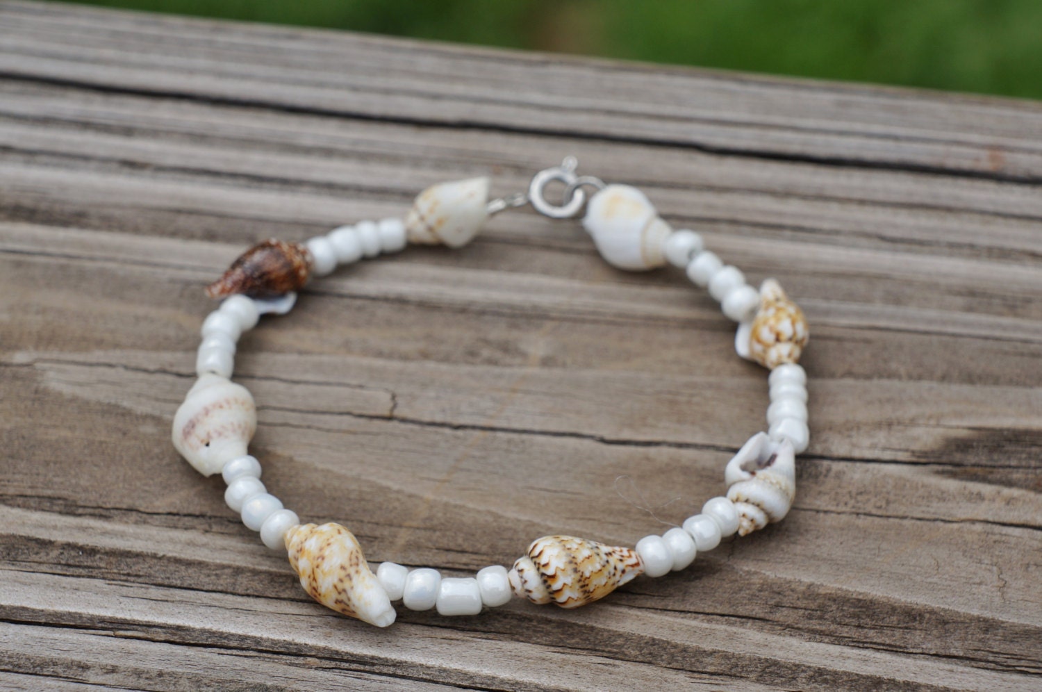 Seashell Bracelet