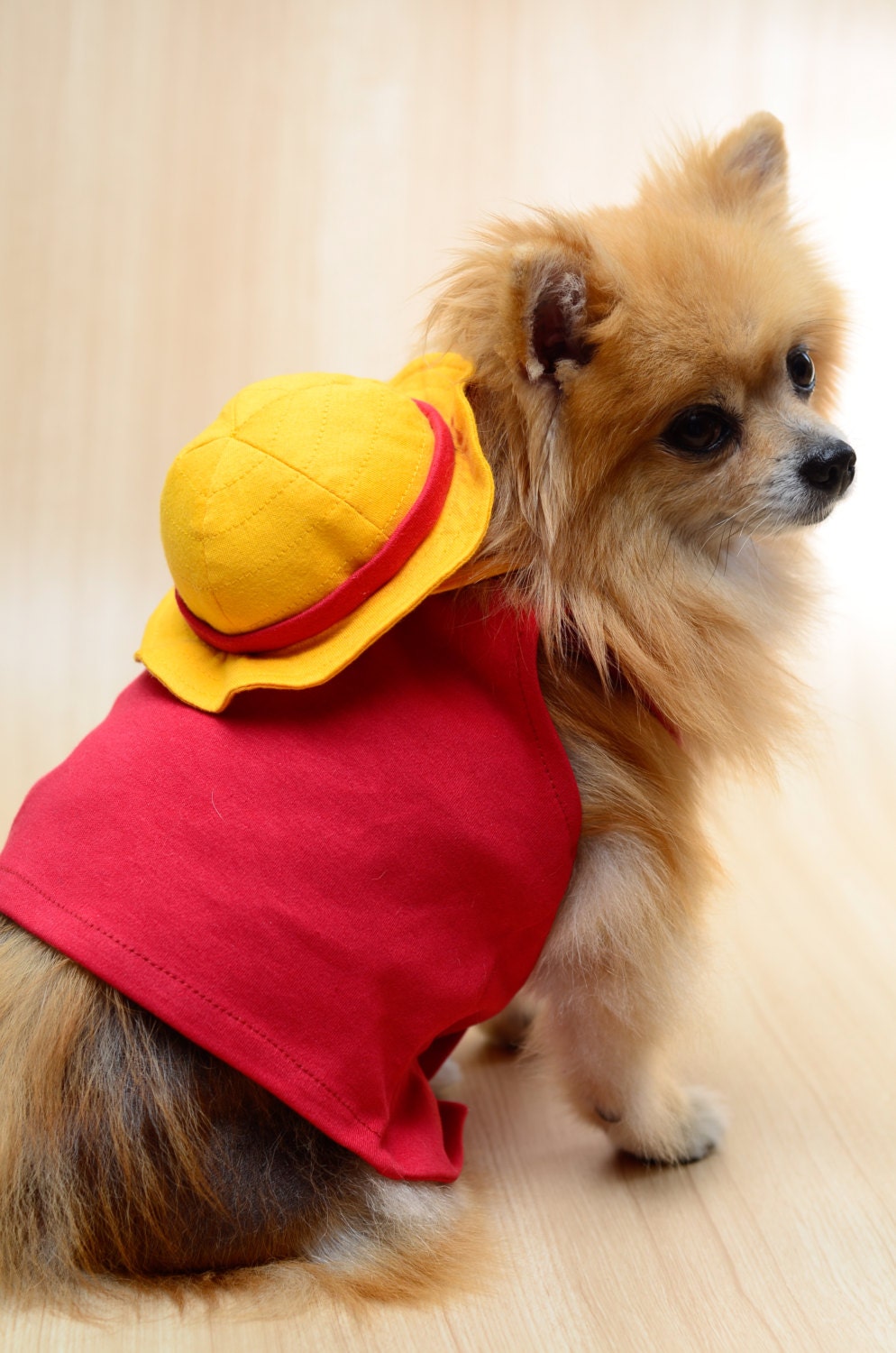 Luffy One Piece Dog Clothing by HachiCorp on Etsy