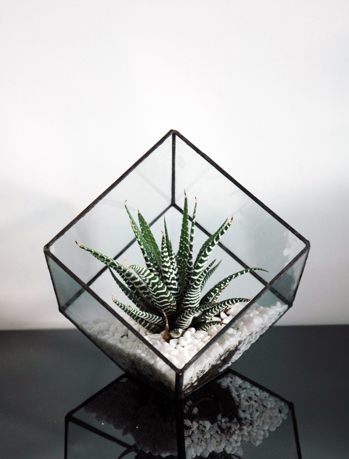 Geometric Glass Terrarium / Cube / Square / Handmade Glass