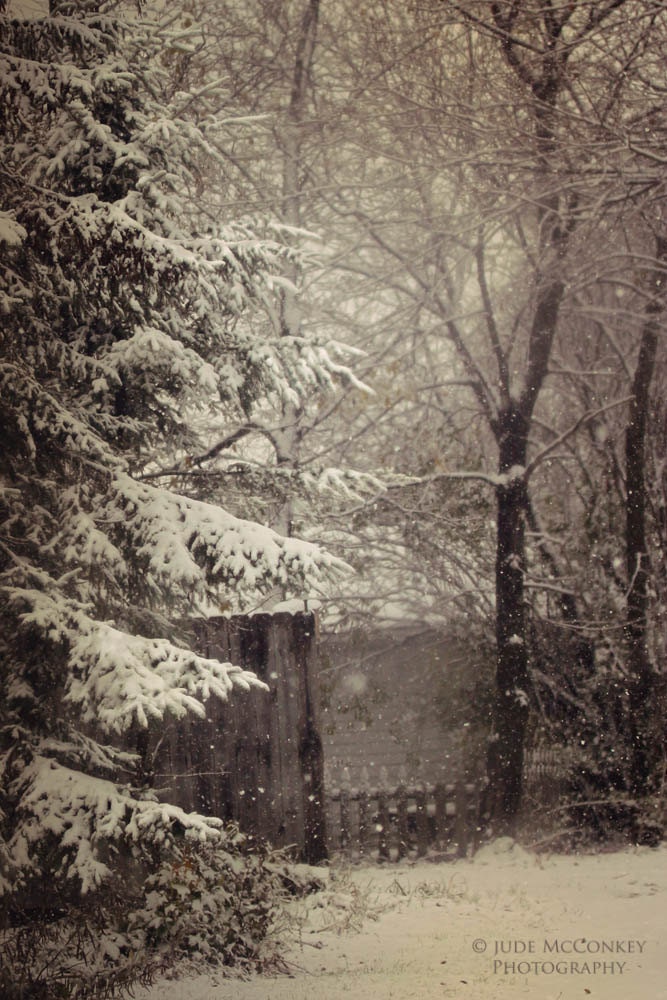 Trees Sepia Landscape Photography Snow Winter Canvas Gallery