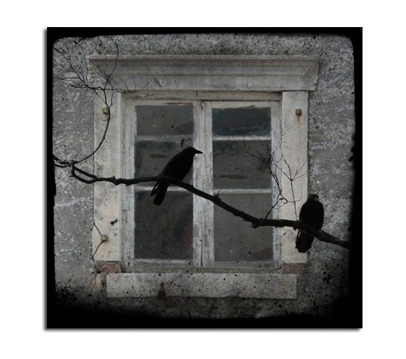 Crows Outside Window Ravens Eerie Square Image Birds by gothicrow