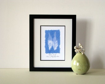Feather print, 8" x 10" matted, Pekin duck feather, white and blue, small wall decor, no. 016