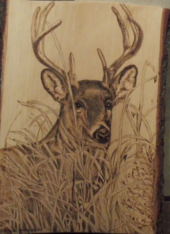 Items similar to Wood Burning. Deer Watching In The Grass. Original ...