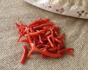 thumbnail interactive-video image 1 of 1/2 Lb Dyed Red/Orange Sea Coral Branches – 10mm To 70mm Length – Southwestern Style (T768-w8) 1 of 5