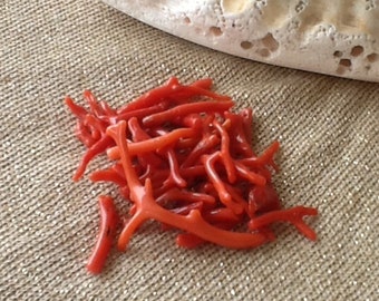 1/2 Lb Dyed Red/Orange Sea Coral Branches – 10mm To 70mm Length – Southwestern Style (T768-w8)