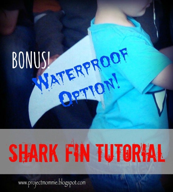Shark fin option trade
