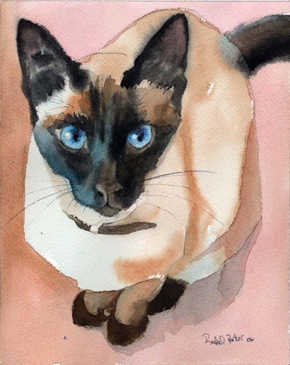 Siamese cat Seal Chocolate Point art Print of my watercolor