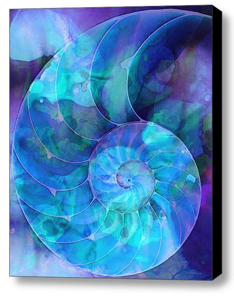 Nautilus Shell Art PRINT from Painting by BuyArtSharonCummings