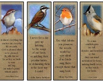 Quotes About Bird Watching. QuotesGram