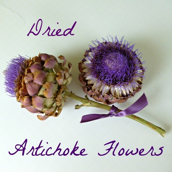 Artichoke, Dried Artichoke Flowers, Blue Flowers, Wreath, Bouquet