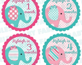 Personalized month baby stickers Baby Month Stickers Baby Girl Month Stickers Monthly Photo Stickers Monthly Milestone Stickers