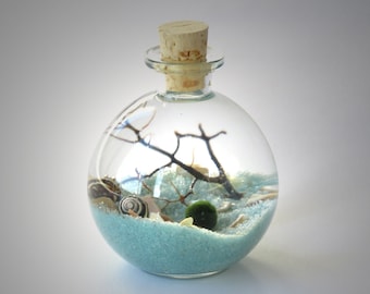 Marimo Bottle Garden Terrarium Kit by Midnight Blossom - Underwater Terrarium with living japanese moss ball, sand, pebbles and sea fan.