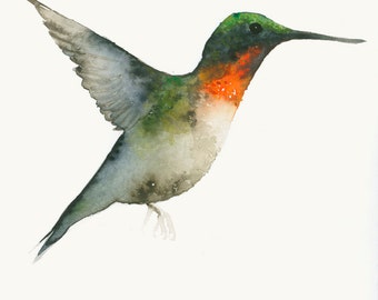 Items similar to Color Pencil Drawing - Hummingbird Drawing - Giclee 