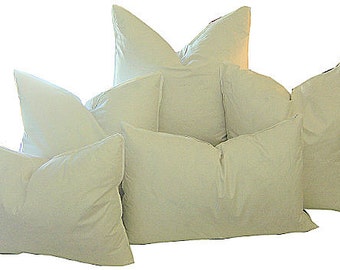 Pillow Inserts - 22X22 FEATHER DOWN Pillow Inserts - Indoor Pillow Insert - 95 Feather - 5 Down -