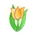 Stained Glass Tulip, Spring Flower Suncatcher, Orange and Green, Window Ornament, Hanging Decoration, Garden Art, Gardener Git